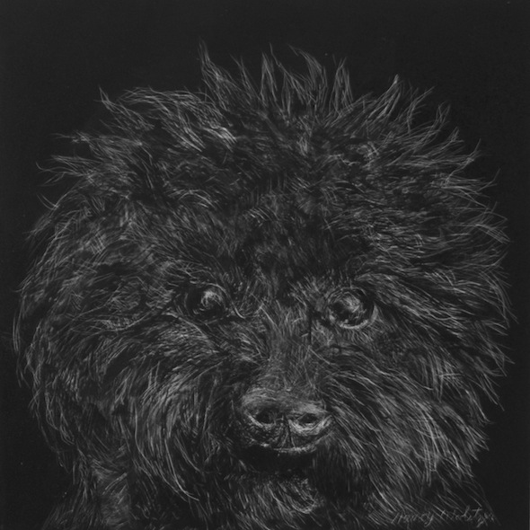 Hope, scratchboard, 6" x 6"