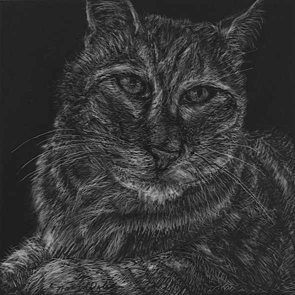 Kim, scratchboard, 6" x 6"