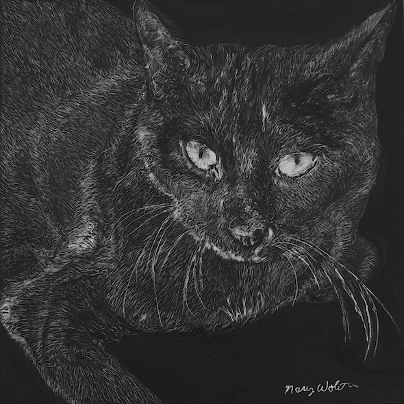 Suki, scratchboard, 8" x 8"