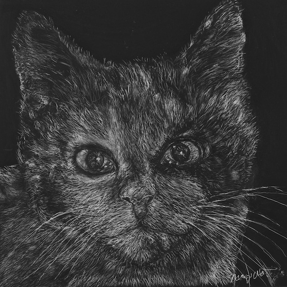 Lucy, scratchboard, 6" x 6"