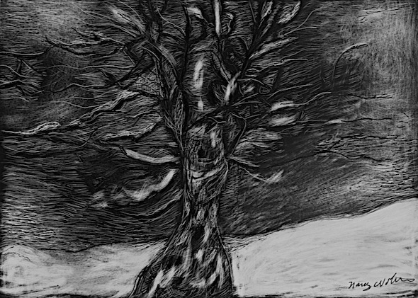 Winter Tree, scratchboard, 5"H x 7"W 