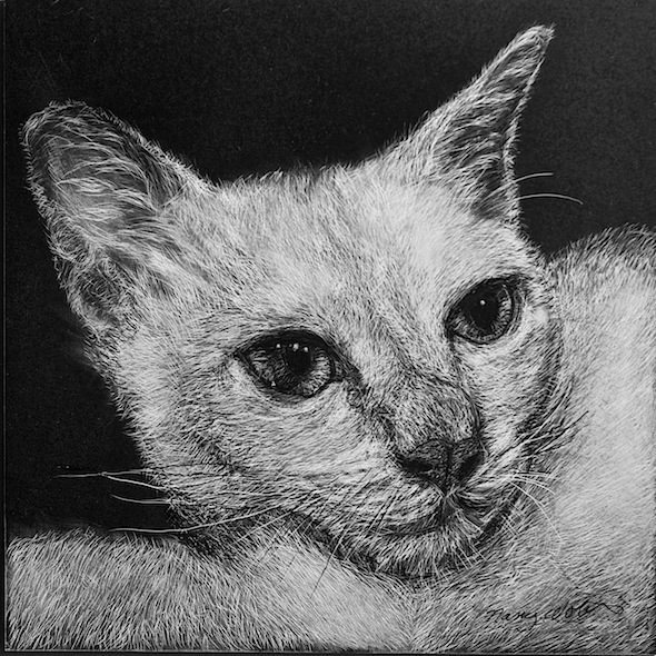 Miika, scratchboard, 6" x 6"