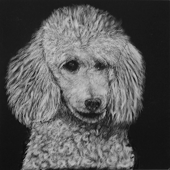 Cloud, scratchboard, 8" x 8" (sold)