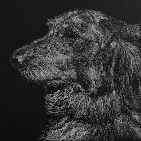 Nikki in Profile, scratchboard, 6" x 6"