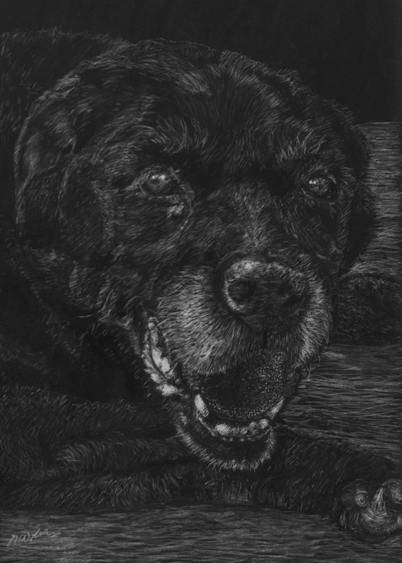 Shakti, scratchboard, 7"H x 5"W