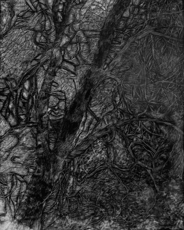 Fairies, scratchboard, 10"H x 8"W, 2014