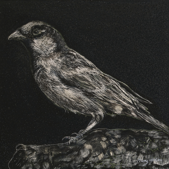 On Vacation, scratchboard and ink, 5" x 5", 2015