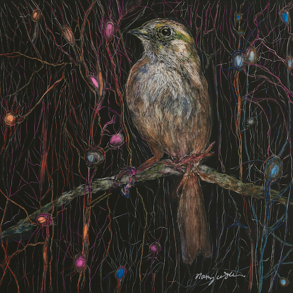 The Little Bird That Paused Among the Neurons, scratchboard and ink, 5" x 5", 2015