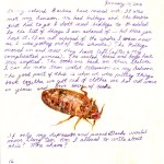 Unnatural Journal, page 16