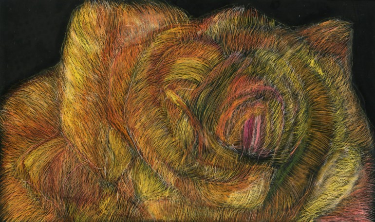 Not a Rose, scratchboard and ink, 3" x 5", 2016