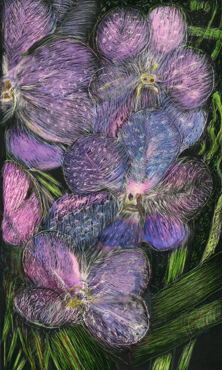 Yet Again, scratchboard and ink, 5" x 3", 2016