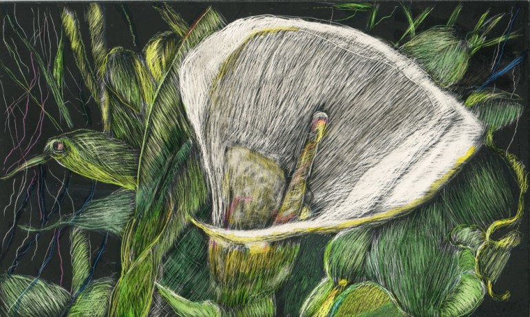 Heartbroken,  scratchboard and ink, 3" x 5", 2016