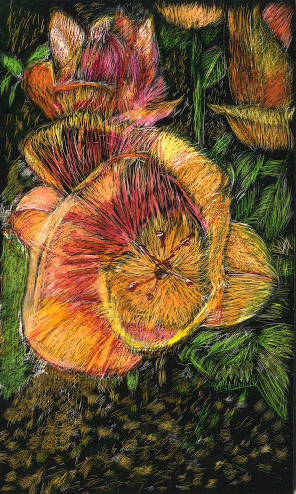 Letting Go,  scratchboard and ink, 5" x 3", 2016