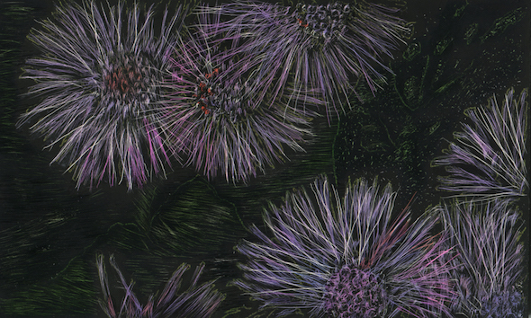 Feeling Purple,  scratchboard and ink, 3 x 5 in., 2016