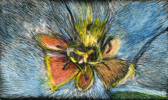 Queer, scratchboard, 3 x 5 in., 2016