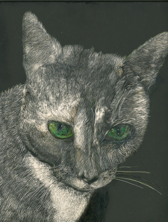 Ms. Pottsie, scratchboard, 10 x 8 in., 2016