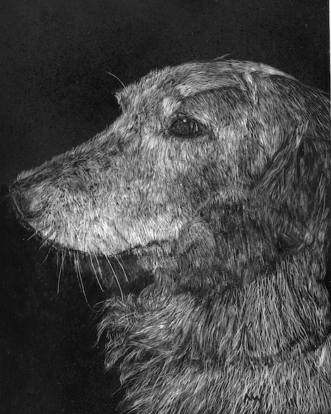 Nikki, scratchboard, 10 x 8 in., 2016